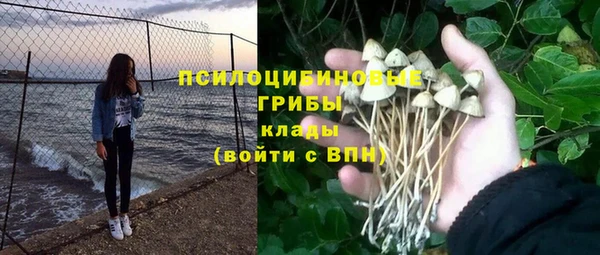 амф Абдулино
