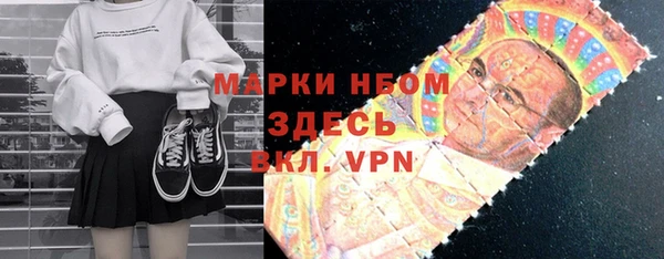сатива Гатчина
