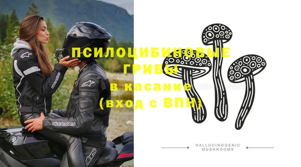 стаф Пролетарск