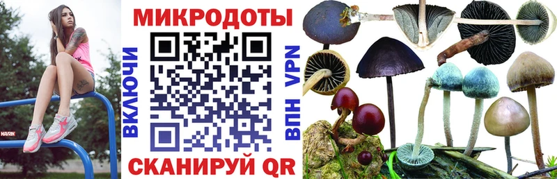 Псилоцибиновые грибы Cubensis Тихорецк