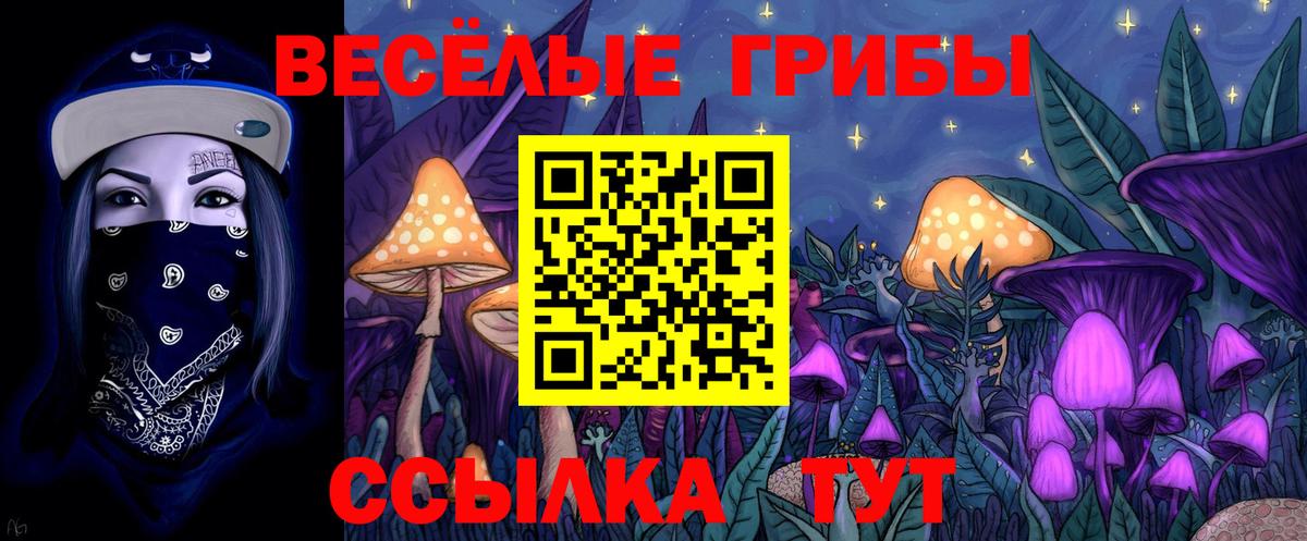 Галлюциногенные грибы Cubensis  Вход с VPN  Тихорецк  Галлюциногенные грибы Psilocybe 